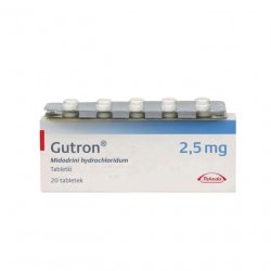 Гутрон таблетки 2,5 мг. №20 в Новосибирске и области фото